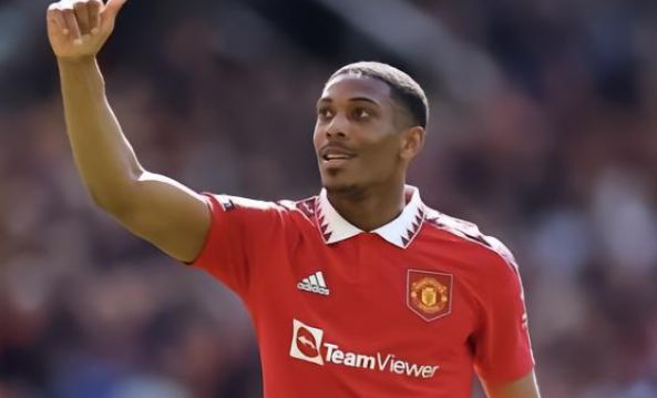 水平起到了 水平起到了